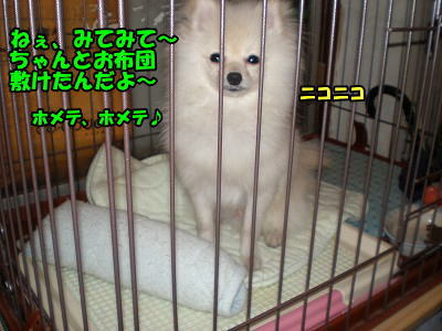 s-P903000000-2.jpg