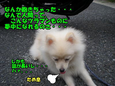 s-P9030009-2.jpg