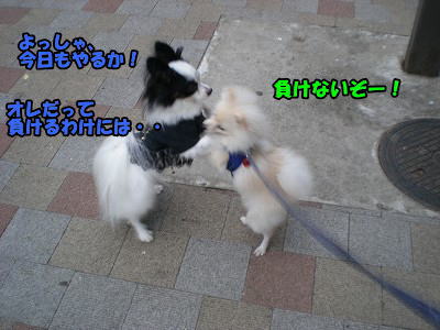 s-P9030011.jpg
