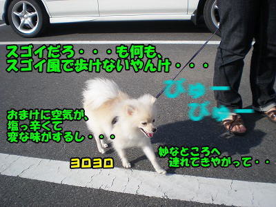 s-P913000016.jpg