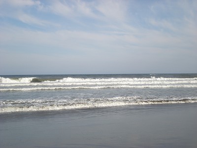 s-P91300013.jpg