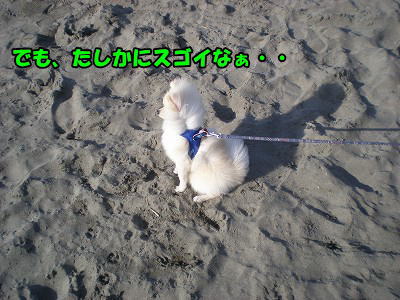 s-P91300016-2.jpg