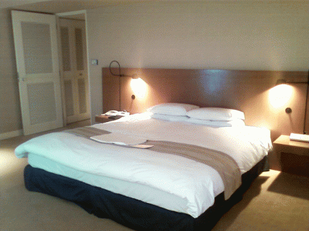 hotelnikkoosakadeluxe1.gif