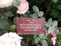 プリンセス・モナコプレート