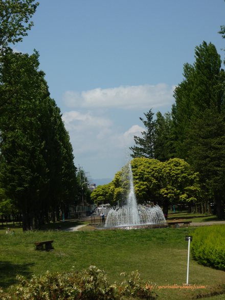 5月 55