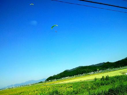 琵琶湖01