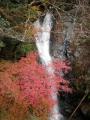 高橋谷いきなり大滝