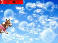 シャボン玉gif ds