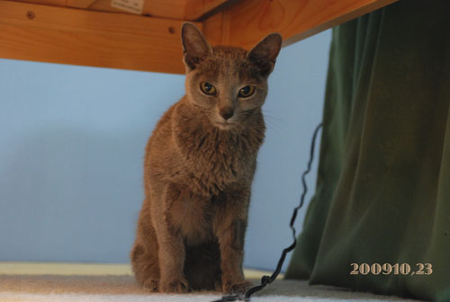 DSC_0237.jpg