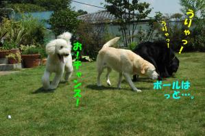 コースケチャンス