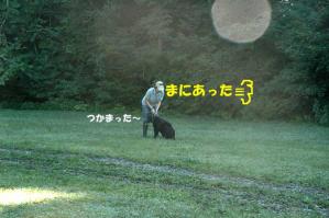 エントリー呼び3