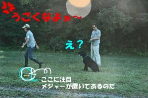 エントリー呼び