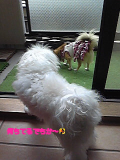 20090830102422