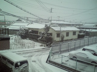 110211_09184雪景色