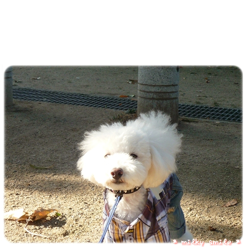 4_20091103201316.jpeg