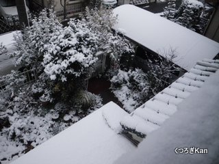 雪の元旦