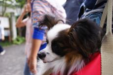 DSC09935.jpg