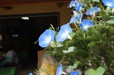 DSC09965.jpg