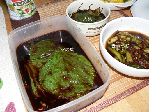 2011-8-12d1.jpg