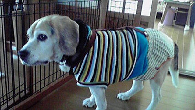 サム