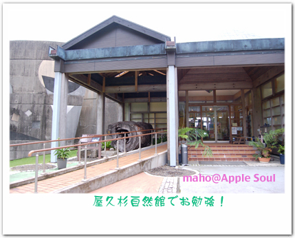 yaku9_20090811164032.jpg
