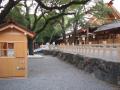 2009年11月3日その4