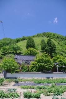 20100530_04.jpg