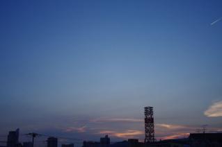 20100724_02.jpg