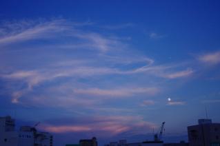 20100724_03.jpg