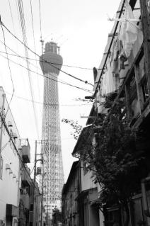 20100813_ST01.jpg