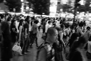 20100814_SS06.jpg