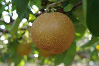 20100904_07.jpg