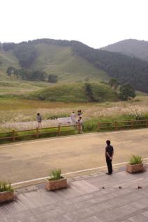 20100920_01.jpg