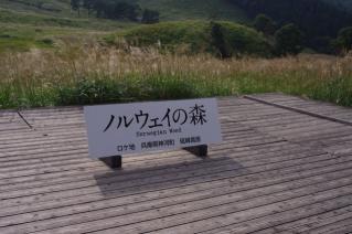 20100920_02.jpg