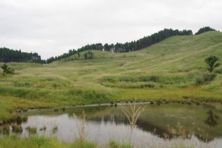20100920_03.jpg