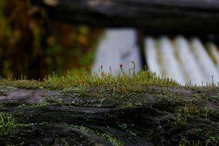 20101024_2_07.jpg