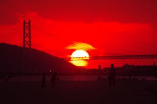 20101103_02.jpg