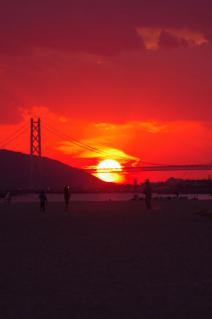 20101103_03.jpg