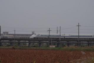 20101113_01.jpg