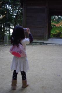 20101121_01.jpg