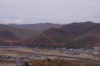 20101128_01.jpg