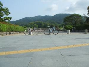 2011_05210004.jpg