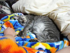 2011_06040001.jpg