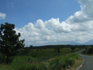 2011_08280018.jpg