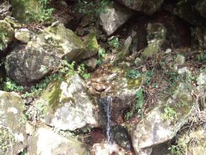 2011_10010072.jpg