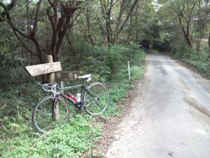2011_10010076.jpg