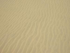 110726-14.jpg