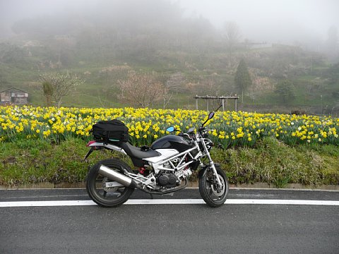 BG-20110416-p1030307.jpg