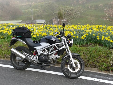 BG-20110416-p1030308.jpg
