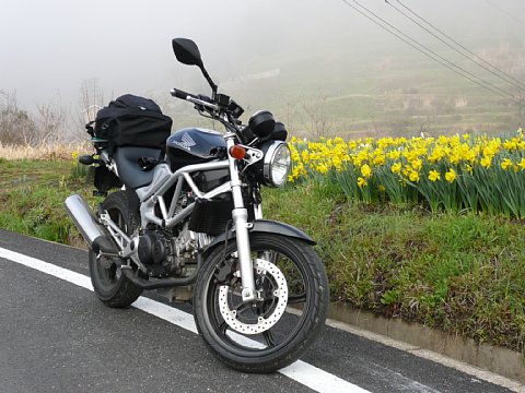 BG-20110416-p1030309.jpg